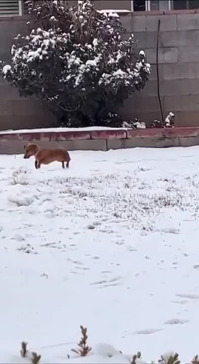 ����� ������ ����, �� ������ ��� ����� �������