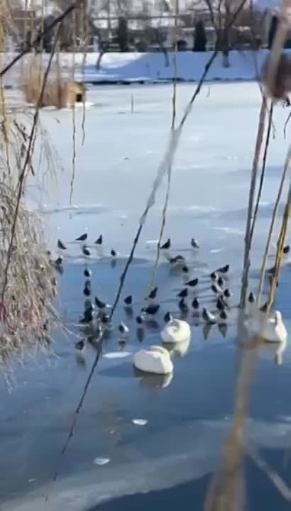 ������ ������� ����� �������, ��� ��������, ��� ���-�� ������ ������� ������� � �� ���� ���-�� ���������