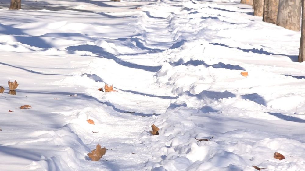 ������ ���� ��� ������. �� �������� �������� ������ ������, �������, ���������� �������, �����������. ������� � ������� �������� ��������: ������� ��������������� ����� �� �������