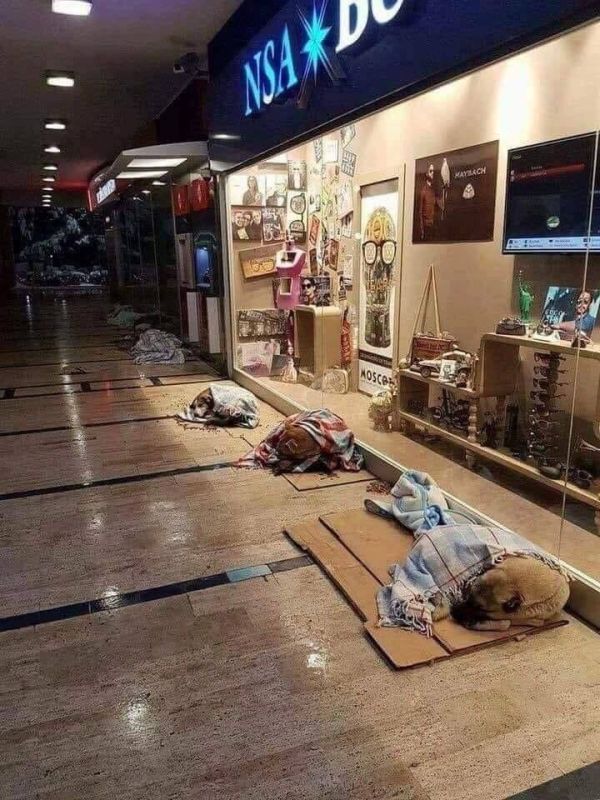 ����� � �������� ����� ���������� ������ ������� ����, ������� ����� ������� � �������� ������