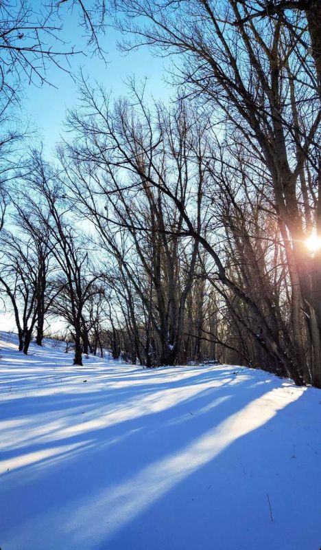 ����� � ������. �������� �� ���������������� ����