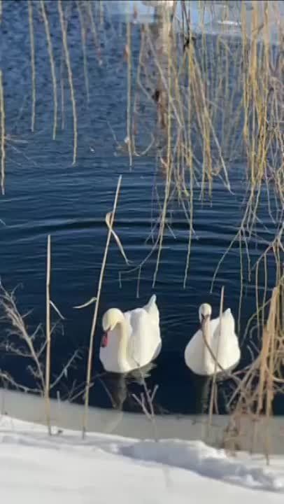 ����� � �������������� ����� ��������� �����