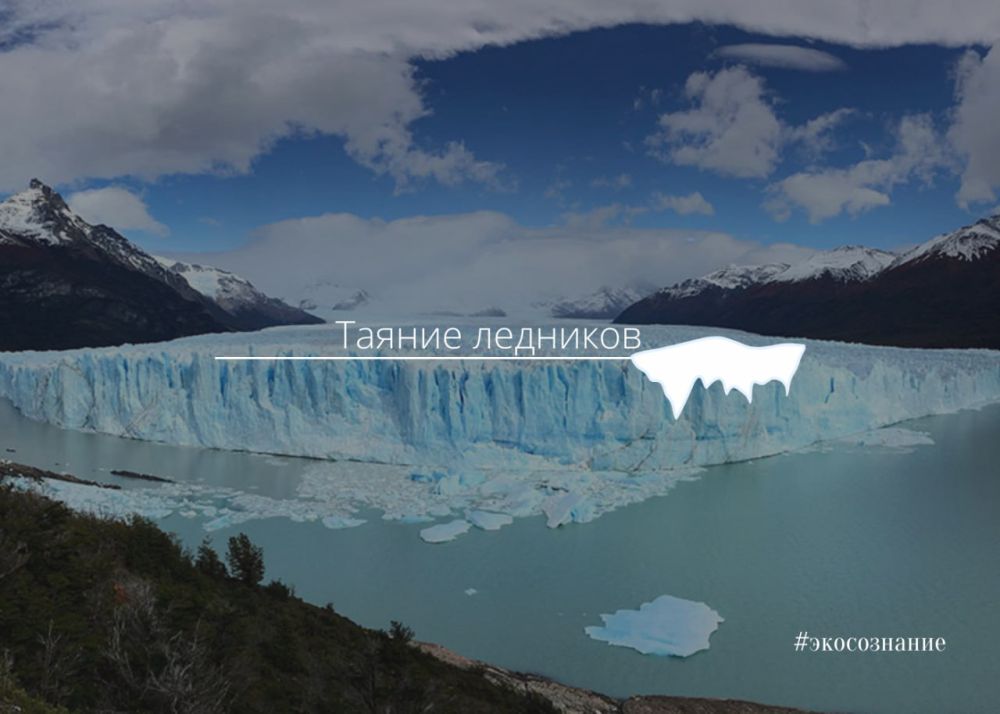 �������� �������������, 24 ������ ���� ����� ���� �������� ������� ����� ������ �������