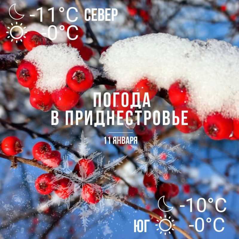 ���� � ����� ����. � ������ � ����� �����. �� ��� � ������ ������� ����