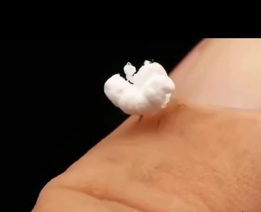 ������. ������� �������