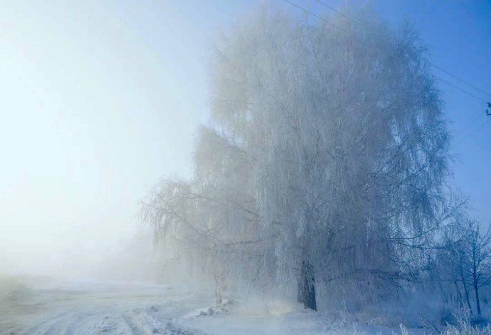 ����� � ����� ������ ������� ������ � ������ ���. ����� � ����������