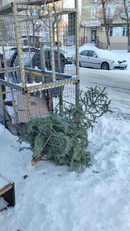 ������ ������