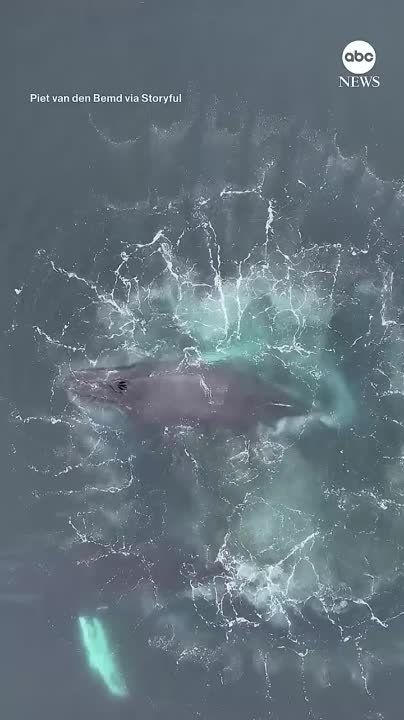 ������������� �������������� ���� �� ����� �������� ��������� � ������� ����������