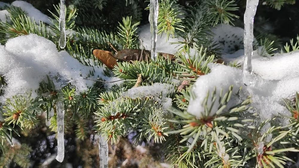 � ������ �� �������� ����������� �������������