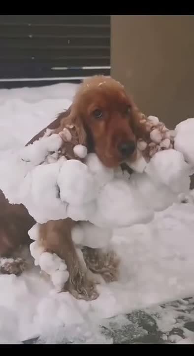 ���������� �������� ��� ������� ������