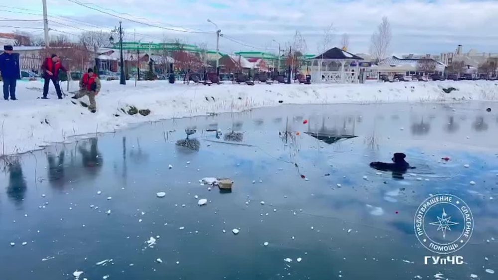 ��������� ����� �� ���������� � ��� ������, ���� ����� �� ������ ��