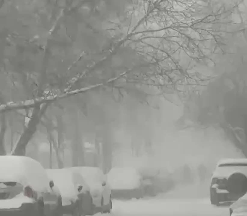 ������ ��������� "������" ������