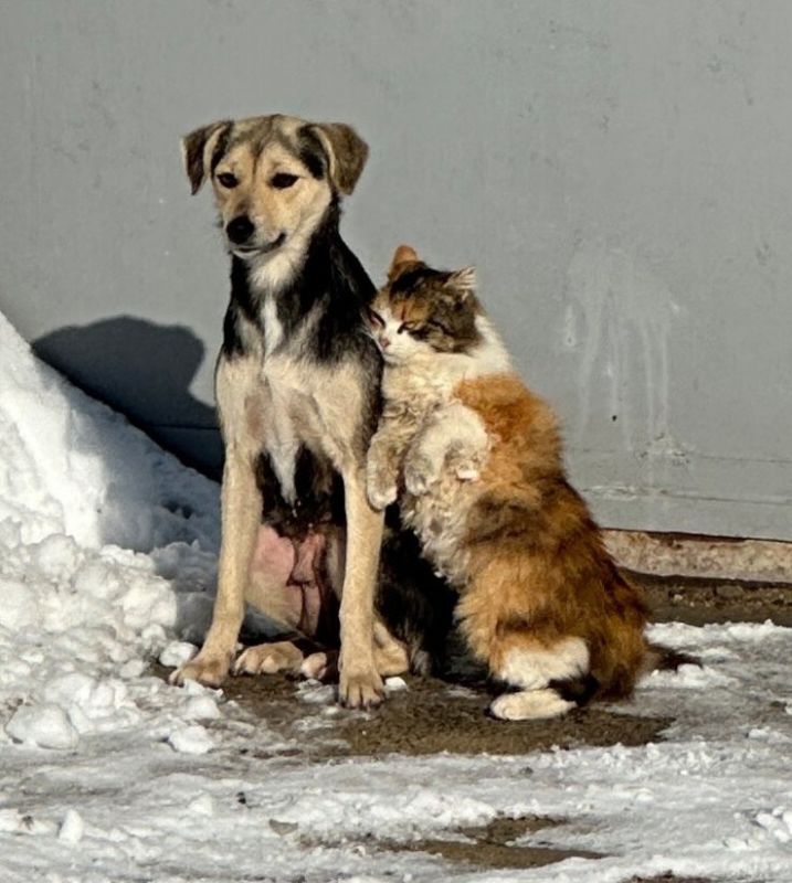 ����� ���� �� ������. ����� �� ����� �������, ����� ������� ���� �� �����