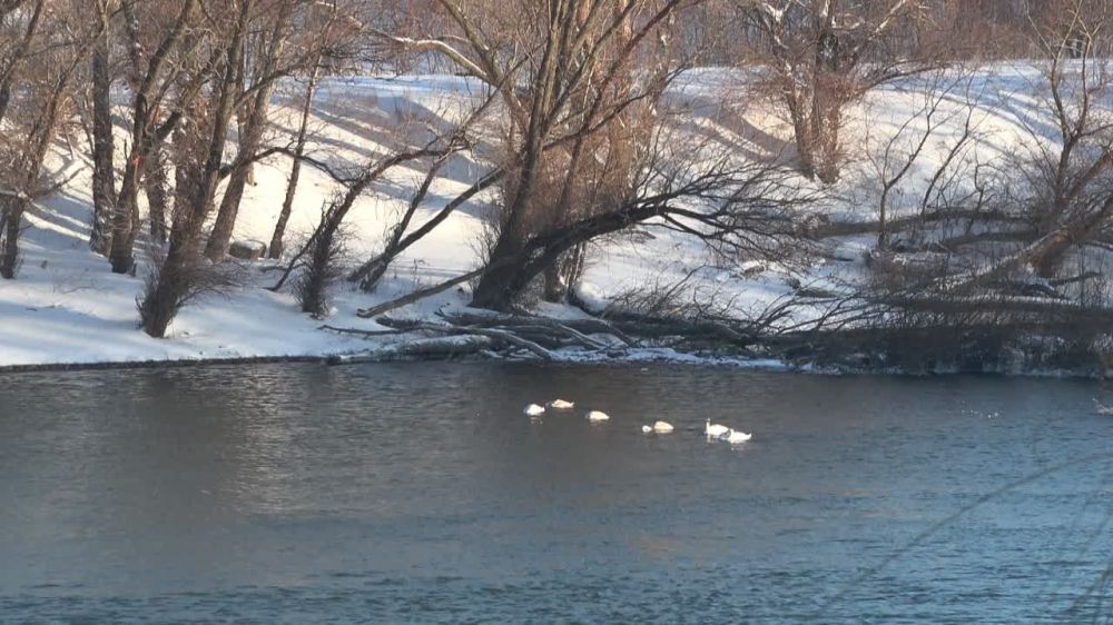 ������ �� ������ ��������. �� ��������������� ������ ����������� ������� ���������� �������� �������