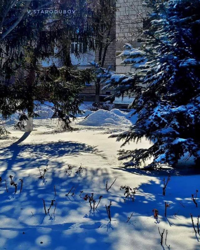 ���������. ����. ����.. ���� ��������� �����������