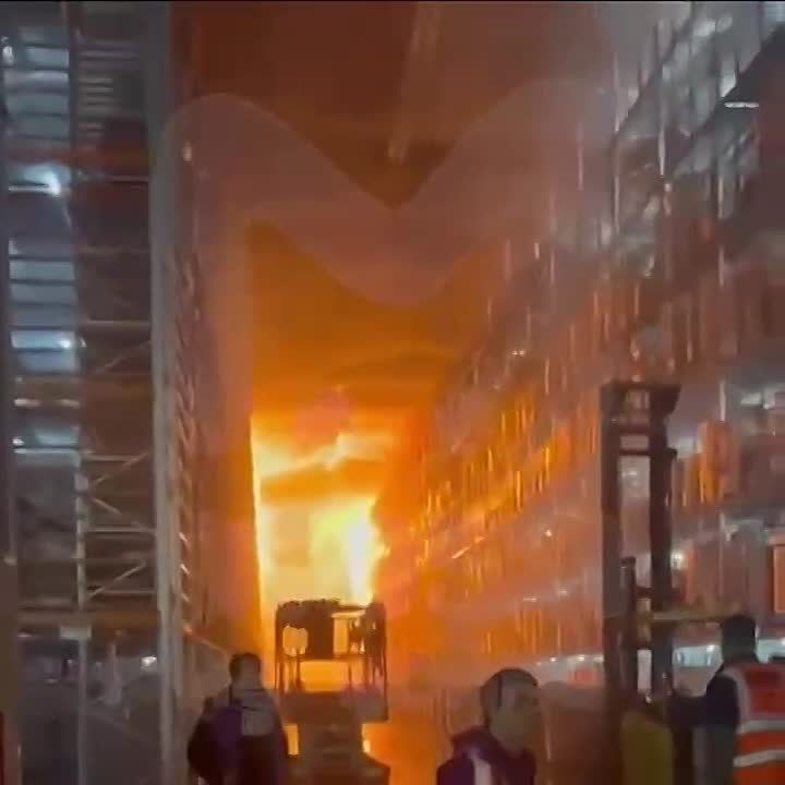 ����� ������!. ������ ����� ������ ������ �� ������ Wildberries, ������ �� ������� ����