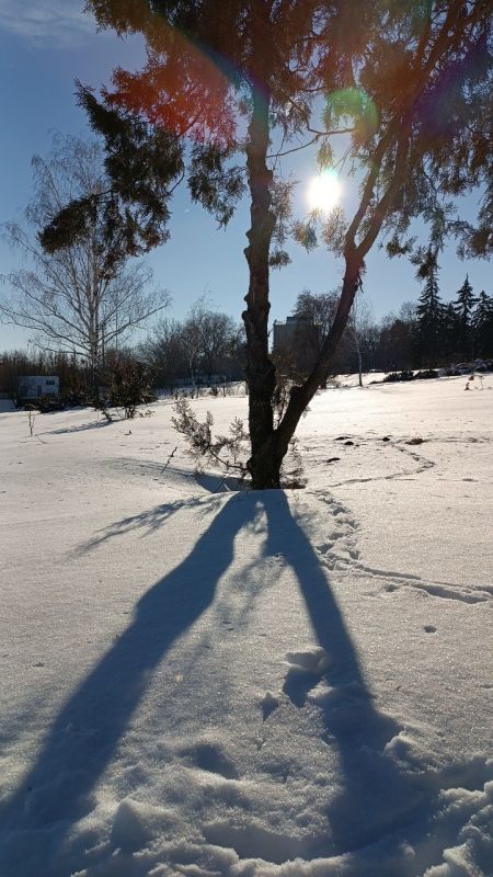 � ��������� �������� ������ ��������, � ���, ��� ������� ���������� � ���� ����� ����������� � ������� ������� � ���� �.��������