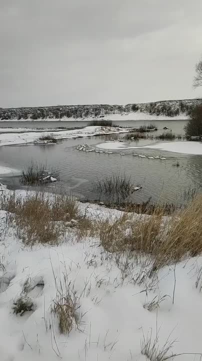 �������. � ������� ������ ������ �� ������� �������