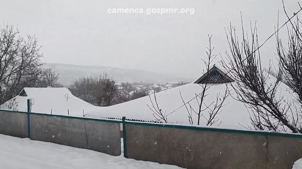 �������� �� ������. ������� ���� ����� �������� �����