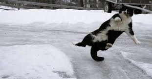 13 � 14 ������ �� ���������� ���������� �� ������� ����������, ������� ������ �������