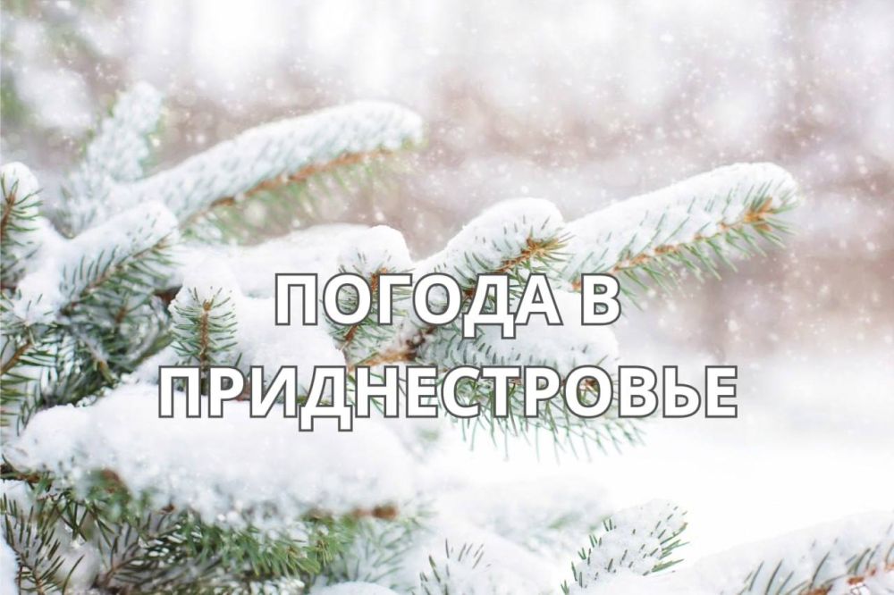 14 ������ ��������� �������� ������, ��� ������������ �������