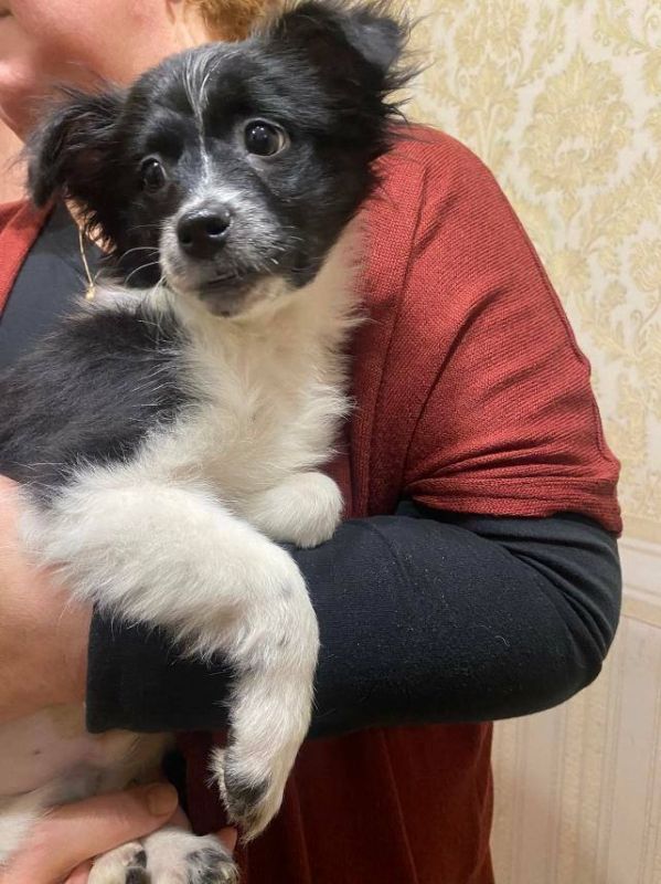 ����� ����������. ����� �� ������� �� ������ � ������ �������� �����. �� ���� ����������� ���������, ����� ���, �������� �� �����