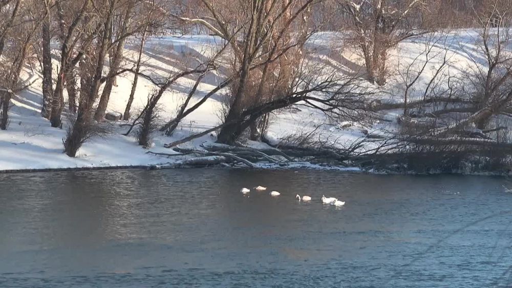 �� ���������� � �������� �������� �������