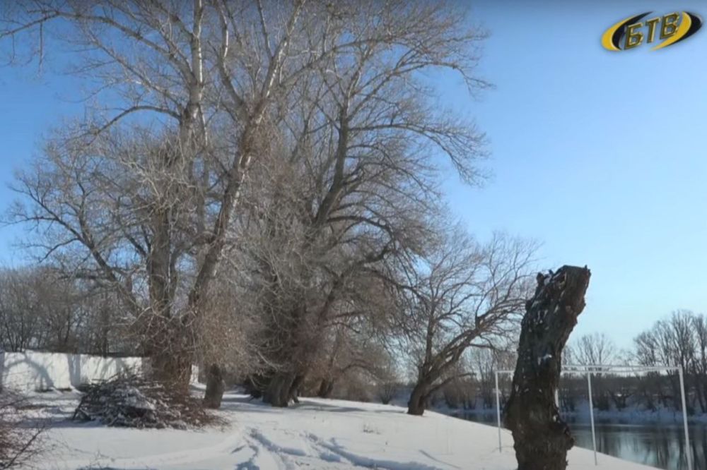 � �������� �� ��������� ����� ����� 15 �� � �������