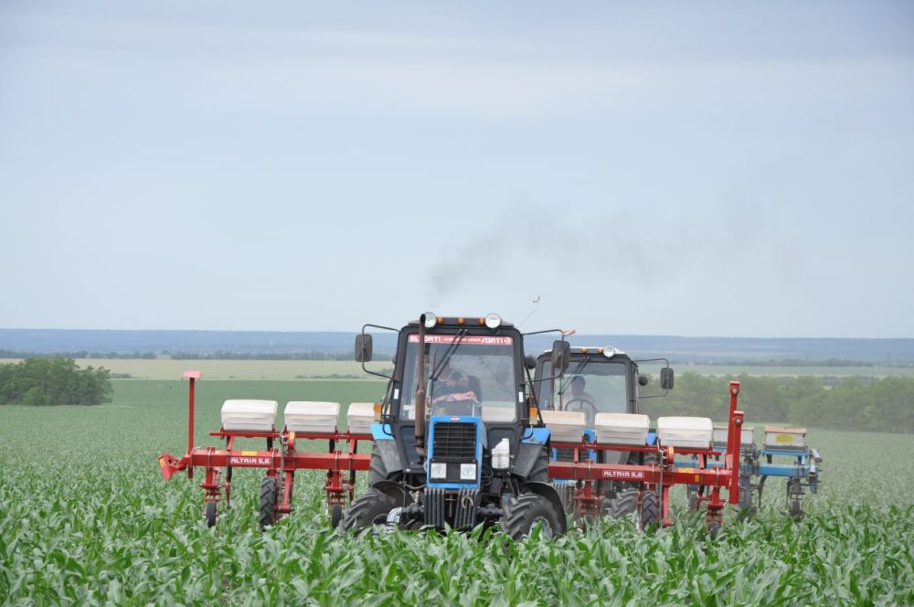 ����� 2023 ����. ����������������� ��� � ������ � ������