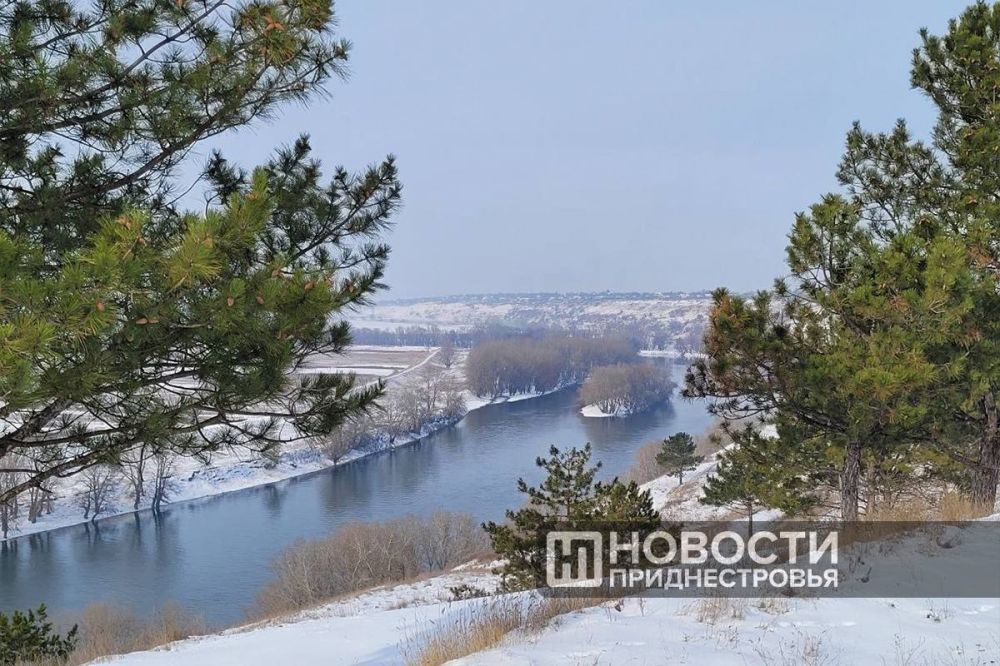 ������������ ������� ��������������, ���� �� ��������