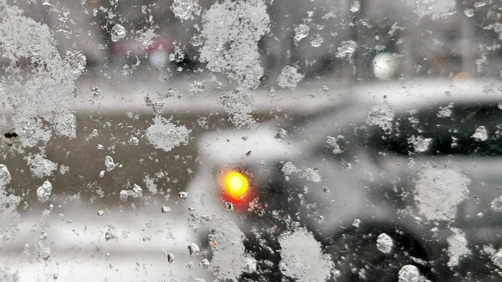 16 ������ ��������� ������ ����, 18 � 19 ������ ������ ���� � �����, �������� �������������