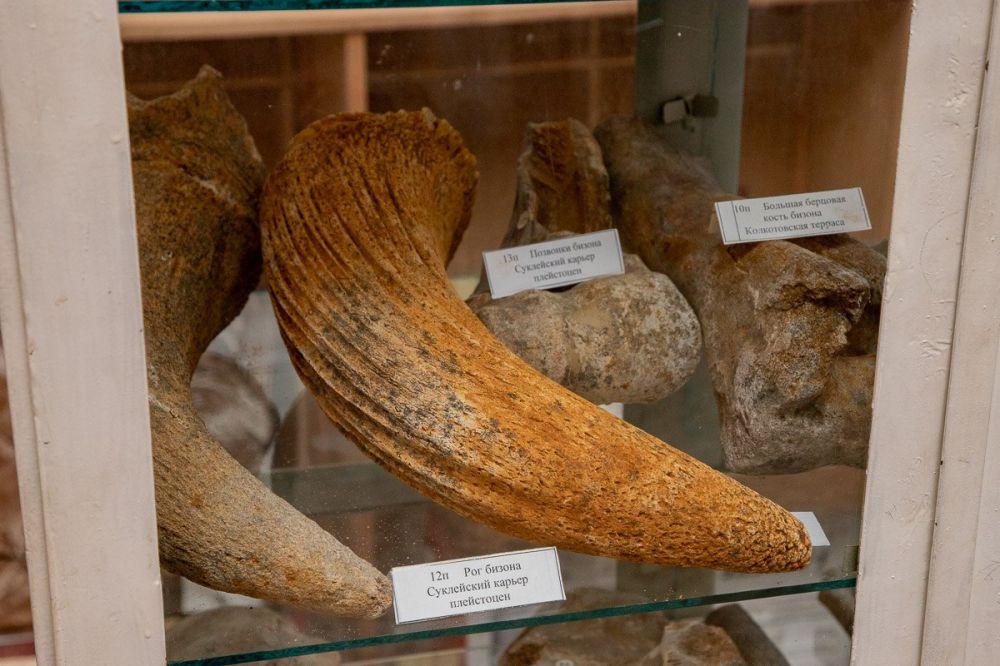 267,7 ������ �������� ��������� ���������������� � ������� ����������� ������ ������ �������������