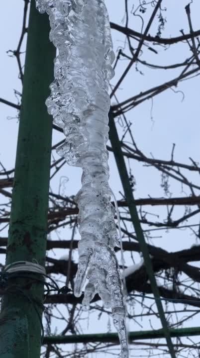 ����� �� �������. �������� �������� ������������ � ����