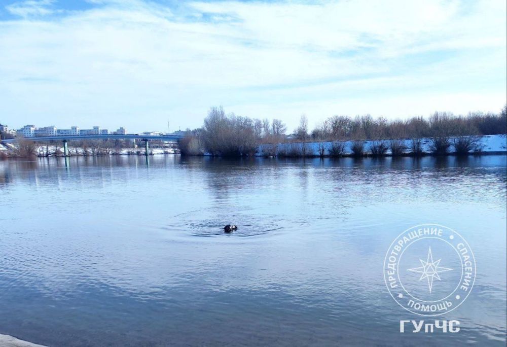 �������� ��������� ��� ������� � ������, ��� ��������� ���������� ������