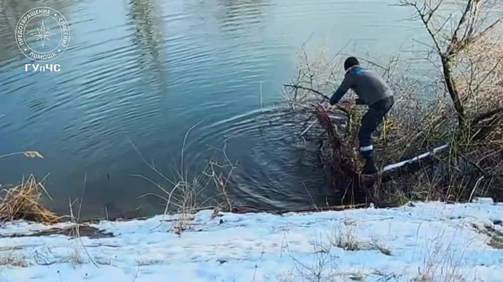 ������ �������. �������, 16 ������ � ����������� ������ ���������� ���� �. ���������� �������� ������� ������������� � ����� �������. �� ������ ������� ����������