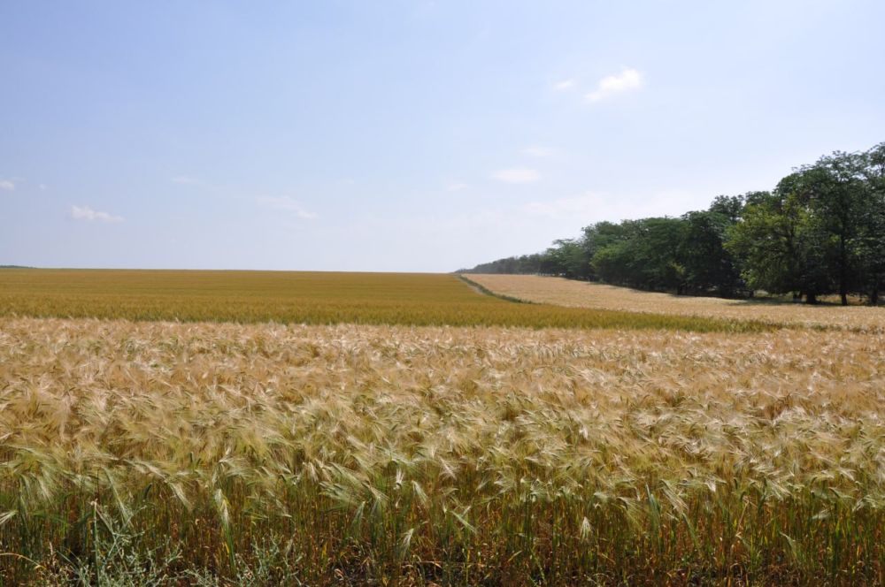 ����� 2023 ����. ����������������� ��� � ������ � ������