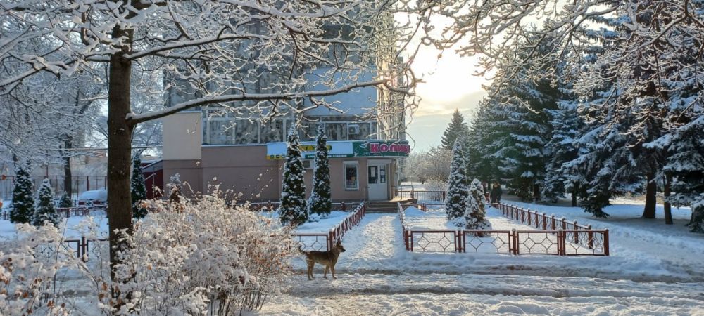 ���� � ��������� �� ����, � ������� ������ ������