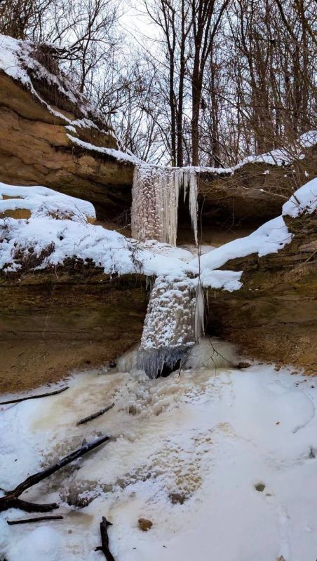 ���������������� �������