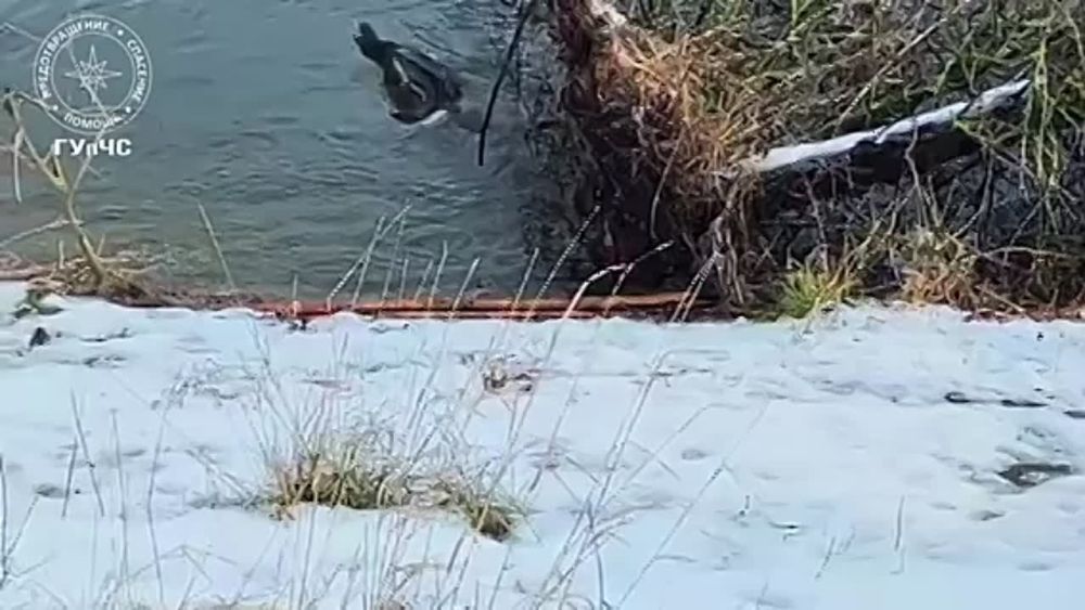 ������ ��������� � ����� � ��������� ���������� ����