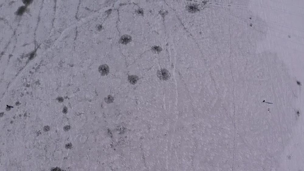 ��� �������� ����� � ������ ������� � �������������