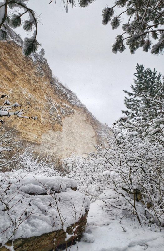 ������ � �����. ����: ������ ����������