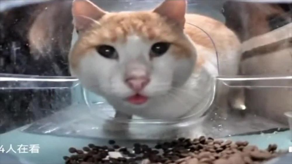 � ���� ����������� ����� �� �������� ��� ��������� �����