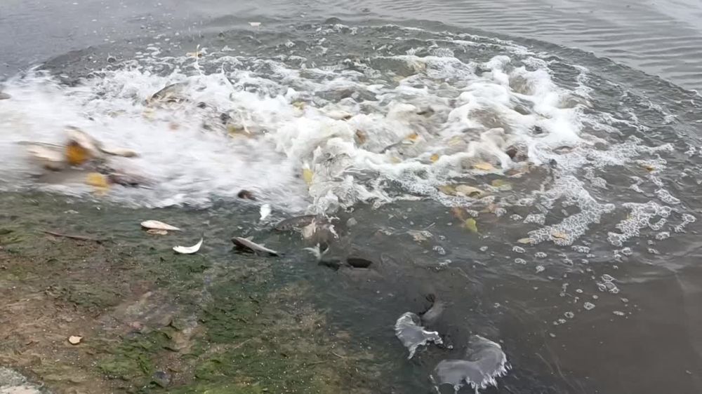 ����� 2023 ����. ����������������� ��� � ������ � ������