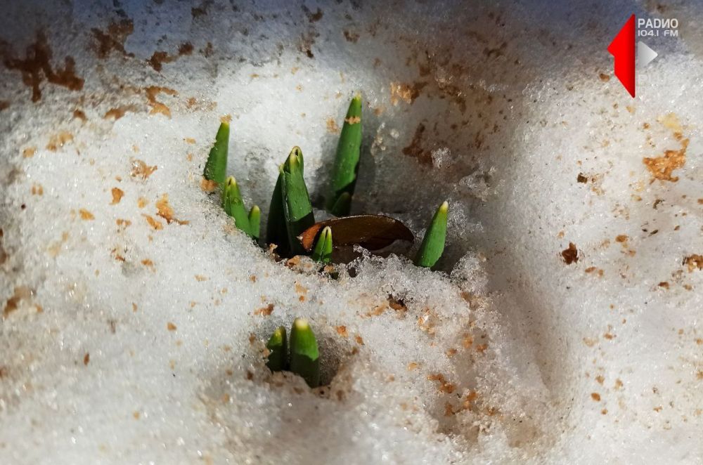 � � ���������� � ������ �����������