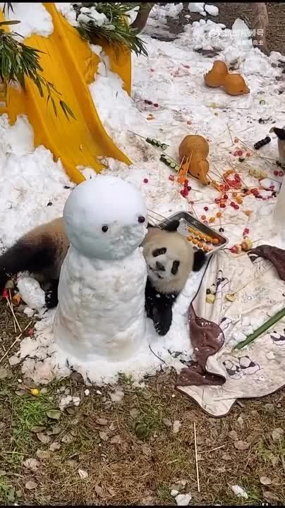 ������ ���:. ����� ����� ���������