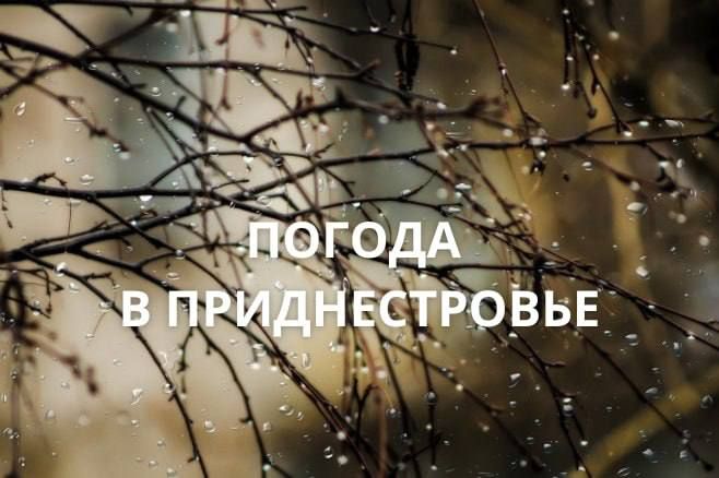 18 ������ ��������� �������� ������, ������� ������ �����