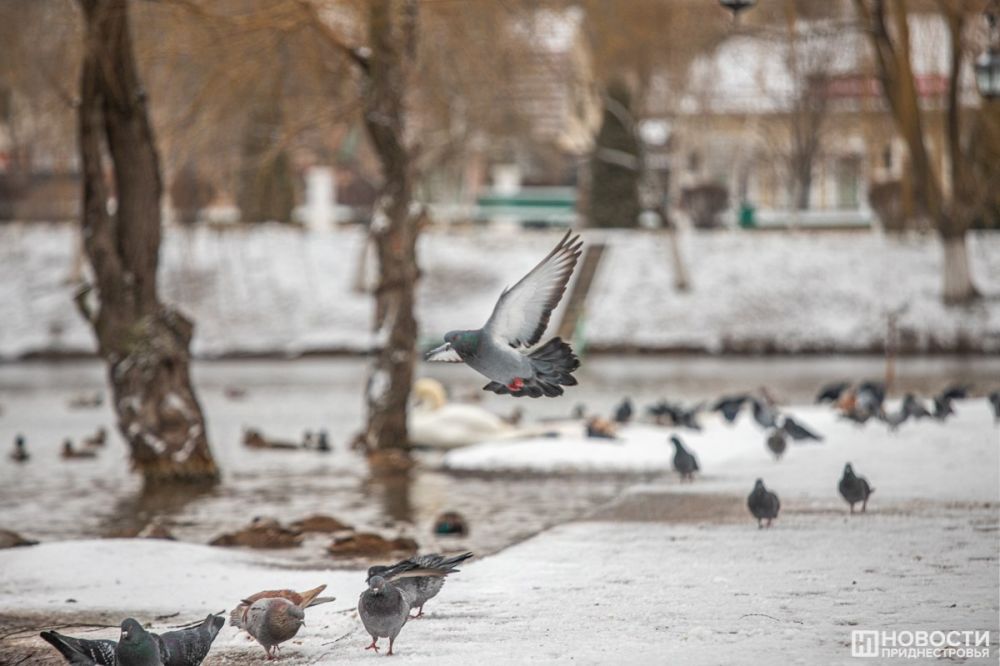 �� ��������� ������ ��������� ������� ����� � ������ ����, ����������� � ����