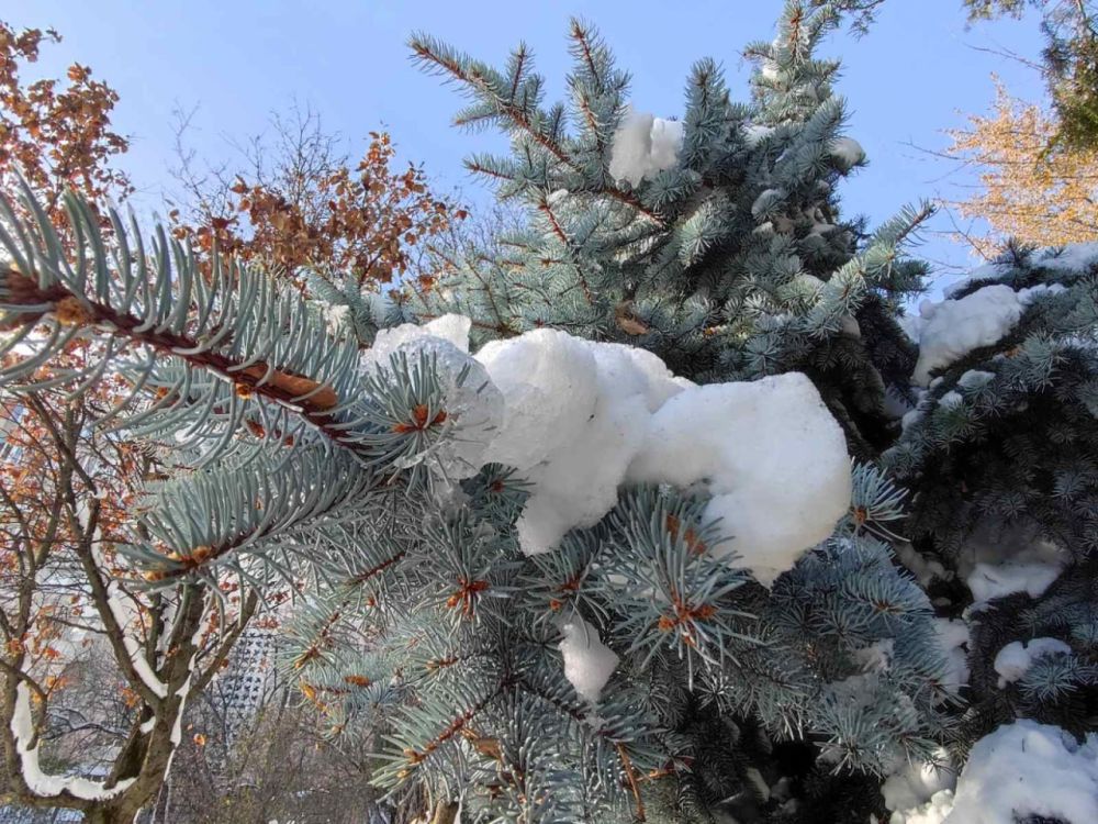 ������� ������ �� 22-28 ������