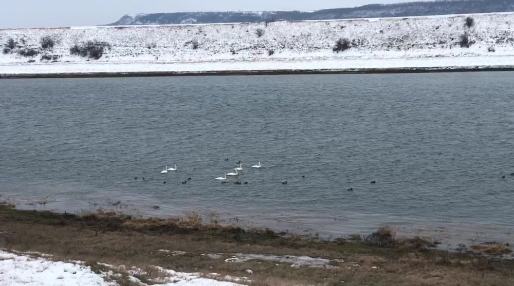 �� ����� � ������� ��� ���������� ������� ������� ������� ������ � ����