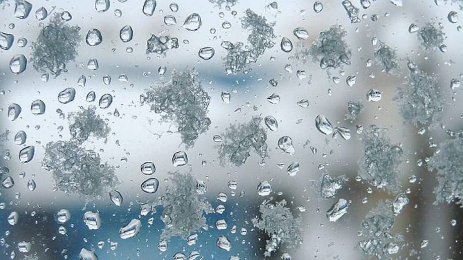 �� ��������� ������ ��������� ����� � ������ ����, ����������� � ����